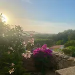 Orsa Sul Mare A Baja Sardinia
