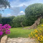Orsa Sul Mare A Baja Sardinia Cala Bitta