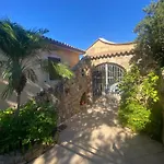 Orsa Sul Mare A Baja Sardinia * Cala Bitta