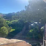 Orsa Sul Mare A Baja Sardinia
