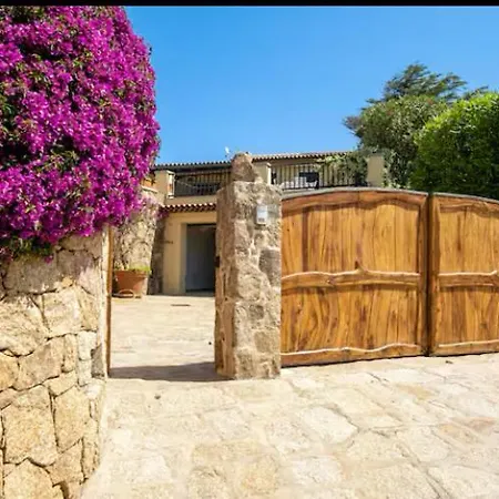 Orsa Sul Mare A Baja Sardinia * Cala Bitta