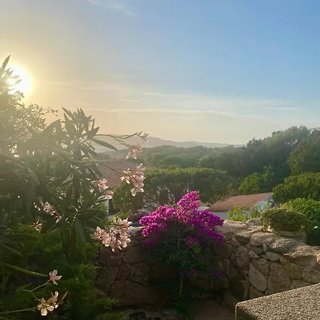 Orsa Sul Mare A Baja Sardinia