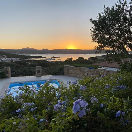 Orsa Sul Mare A Baja Sardinia
