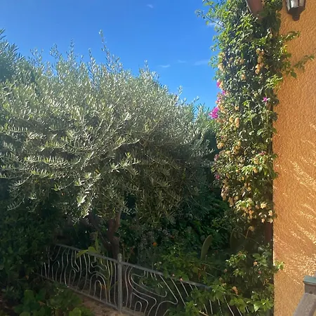 Orsa Sul Mare A Baja Sardinia 빌라