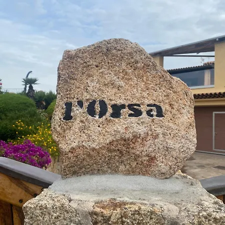 Orsa Sul Mare A Baja Sardinia